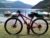specialized rockhopper 29 - Immagine4