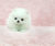Cuccioli Mini Volpino Pomeranian - Immagine2
