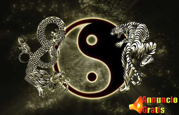yin-yang-drago-tigre
