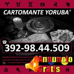 cartomante-yoruba-tim-873